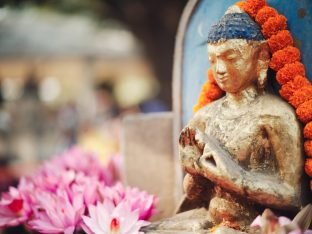 Thaye Dorje, His Holiness the 17th Gyalwa Karmapa, presided over the 23rd Kagyu Monlam at Bodh Gaya, in 2025. Photo: Tokpa Korlo.