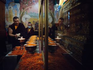 Thaye Dorje, His Holiness the 17th Gyalwa Karmapa, presided over the 23rd Kagyu Monlam at Bodh Gaya, in 2025. Photo: Tokpa Korlo.