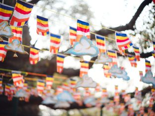 Thaye Dorje, His Holiness the 17th Gyalwa Karmapa, presided over the 23rd Kagyu Monlam at Bodh Gaya, in 2025. Photo: Tokpa Korlo.