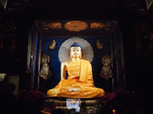 Thaye Dorje, His Holiness the 17th Gyalwa Karmapa, presided over the 23rd Kagyu Monlam at Bodh Gaya, in 2025. Photo: Tokpa Korlo.