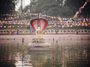 Thaye Dorje, His Holiness the 17th Gyalwa Karmapa, presided over the 23rd Kagyu Monlam at Bodh Gaya, in 2025. Photo: Tokpa Korlo.