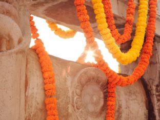 Thaye Dorje, His Holiness the 17th Gyalwa Karmapa, presided over the 23rd Kagyu Monlam at Bodh Gaya, in 2025. Photo: Tokpa Korlo.