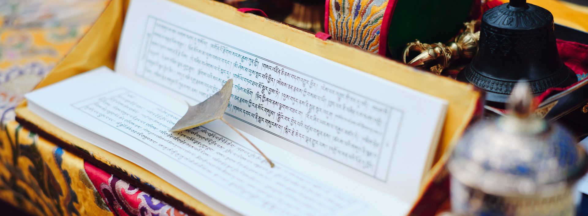 Thaye Dorje, His Holiness the 17th Gyalwa Karmapa, presided over the 23rd Kagyu Monlam at Bodh Gaya, in 2025. Photo: Tokpa Korlo.