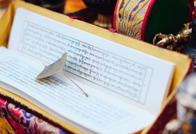 Thaye Dorje, His Holiness the 17th Gyalwa Karmapa, presided over the 23rd Kagyu Monlam at Bodh Gaya, in 2025. Photo: Tokpa Korlo.