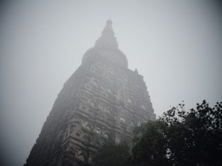 Thaye Dorje, His Holiness the 17th Gyalwa Karmapa, presided over the 23rd Kagyu Monlam at Bodh Gaya, in 2025. Photo: Tokpa Korlo.
