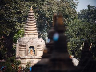 Thaye Dorje, His Holiness the 17th Gyalwa Karmapa, presided over the 23rd Kagyu Monlam at Bodh Gaya, in 2025. Photo: Tokpa Korlo.