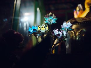 Thaye Dorje, His Holiness the 17th Gyalwa Karmapa, presided over the 23rd Kagyu Monlam at Bodh Gaya, in 2025. Photo: Tokpa Korlo.