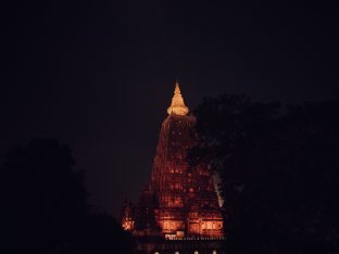 Thaye Dorje, His Holiness the 17th Gyalwa Karmapa, presided over the 23rd Kagyu Monlam at Bodh Gaya, in 2025. Photo: Tokpa Korlo.