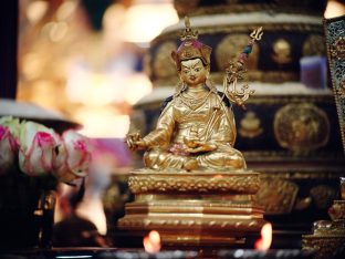 Pujas for His Eminence the 3rd Jamgon Ju Mipham Namgyal Gyatso Tshojung Gyepe Dorje, presided over by Thaye Dorje, His Holiness the 17th Gyalwa Karmapa. Photo: Tokpa Korlo.