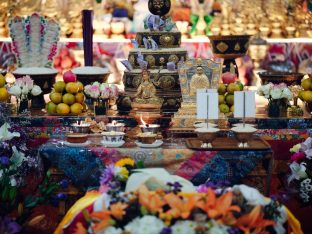 Pujas for His Eminence the 3rd Jamgon Ju Mipham Namgyal Gyatso Tshojung Gyepe Dorje, presided over by Thaye Dorje, His Holiness the 17th Gyalwa Karmapa. Photo: Tokpa Korlo.