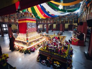 Pujas for His Eminence the 3rd Jamgon Ju Mipham Namgyal Gyatso Tshojung Gyepe Dorje, presided over by Thaye Dorje, His Holiness the 17th Gyalwa Karmapa. Photo: Tokpa Korlo.