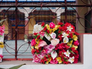 Pujas for His Eminence the 3rd Jamgon Ju Mipham Namgyal Gyatso Tshojung Gyepe Dorje, presided over by Thaye Dorje, His Holiness the 17th Gyalwa Karmapa. Photo: Tokpa Korlo.
