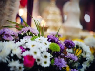 Pujas for His Eminence the 3rd Jamgon Ju Mipham Namgyal Gyatso Tshojung Gyepe Dorje, presided over by Thaye Dorje, His Holiness the 17th Gyalwa Karmapa. Photo: Tokpa Korlo.