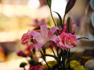 Pujas for His Eminence the 3rd Jamgon Ju Mipham Namgyal Gyatso Tshojung Gyepe Dorje, presided over by Thaye Dorje, His Holiness the 17th Gyalwa Karmapa. Photo: Tokpa Korlo.