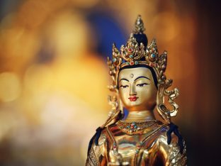 Pujas for His Eminence the 3rd Jamgon Ju Mipham Namgyal Gyatso Tshojung Gyepe Dorje, presided over by Thaye Dorje, His Holiness the 17th Gyalwa Karmapa. Photo: Tokpa Korlo.