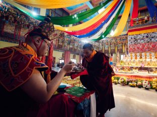 Pujas for His Eminence the 3rd Jamgon Ju Mipham Namgyal Gyatso Tshojung Gyepe Dorje, presided over by Thaye Dorje, His Holiness the 17th Gyalwa Karmapa. Photo: Tokpa Korlo.