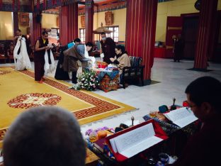 Pujas for His Eminence the 3rd Jamgon Ju Mipham Namgyal Gyatso Tshojung Gyepe Dorje, presided over by Thaye Dorje, His Holiness the 17th Gyalwa Karmapa. Photo: Tokpa Korlo.
