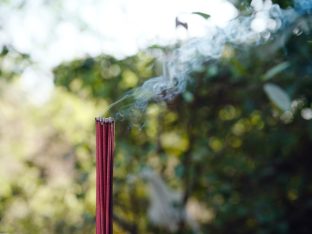 Pujas for His Eminence the 3rd Jamgon Ju Mipham Namgyal Gyatso Tshojung Gyepe Dorje, presided over by Thaye Dorje, His Holiness the 17th Gyalwa Karmapa. Photo: Tokpa Korlo.