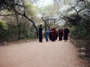 Pujas for His Eminence the 3rd Jamgon Ju Mipham Namgyal Gyatso Tshojung Gyepe Dorje, presided over by Thaye Dorje, His Holiness the 17th Gyalwa Karmapa. Photo: Tokpa Korlo.