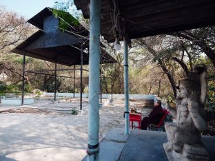 Pujas for His Eminence the 3rd Jamgon Ju Mipham Namgyal Gyatso Tshojung Gyepe Dorje, presided over by Thaye Dorje, His Holiness the 17th Gyalwa Karmapa. Photo: Tokpa Korlo.