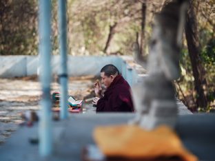 Pujas for His Eminence the 3rd Jamgon Ju Mipham Namgyal Gyatso Tshojung Gyepe Dorje, presided over by Thaye Dorje, His Holiness the 17th Gyalwa Karmapa. Photo: Tokpa Korlo.
