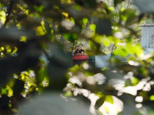 Pujas for His Eminence the 3rd Jamgon Ju Mipham Namgyal Gyatso Tshojung Gyepe Dorje, presided over by Thaye Dorje, His Holiness the 17th Gyalwa Karmapa. Photo: Tokpa Korlo.