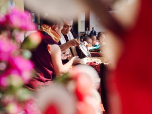 The cremation ceremony for His Eminence Mipham Namgyal Gyatso Tshojung Gyepe Dorje took place at the Karmapa International Buddhist Institute, Feb 2026. Photo: Tokpa Korlo.