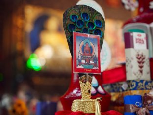 The cremation ceremony for His Eminence Mipham Namgyal Gyatso Tshojung Gyepe Dorje took place at the Karmapa International Buddhist Institute, Feb 2026. Photo: Tokpa Korlo.