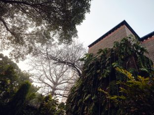 The cremation ceremony for His Eminence Mipham Namgyal Gyatso Tshojung Gyepe Dorje took place at the Karmapa International Buddhist Institute, Feb 2026. Photo: Tokpa Korlo.