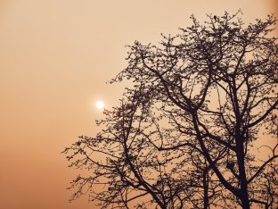 The cremation ceremony for His Eminence Mipham Namgyal Gyatso Tshojung Gyepe Dorje took place at the Karmapa International Buddhist Institute, Feb 2026. Photo: Tokpa Korlo.
