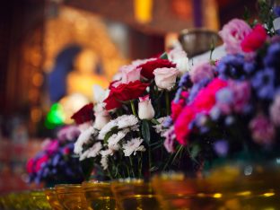 The cremation ceremony for His Eminence Mipham Namgyal Gyatso Tshojung Gyepe Dorje took place at the Karmapa International Buddhist Institute, Feb 2026. Photo: Tokpa Korlo.