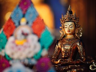 The cremation ceremony for His Eminence Mipham Namgyal Gyatso Tshojung Gyepe Dorje took place at the Karmapa International Buddhist Institute, Feb 2026. Photo: Tokpa Korlo.