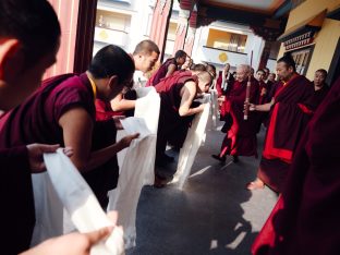 The cremation ceremony for His Eminence Mipham Namgyal Gyatso Tshojung Gyepe Dorje took place at the Karmapa International Buddhist Institute, Feb 2026. Photo: Tokpa Korlo.