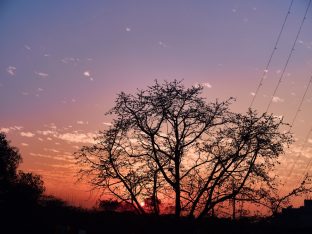 The cremation ceremony for His Eminence Mipham Namgyal Gyatso Tshojung Gyepe Dorje took place at the Karmapa International Buddhist Institute, Feb 2026. Photo: Tokpa Korlo.