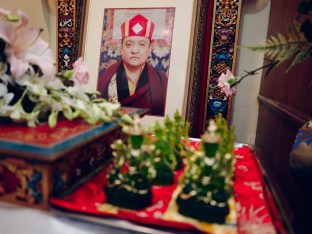 Thaye Dorje, His Holiness the 17th Gyalwa Karmapa, visits Kuching and Johor Bahru, Malaysia, June 2026. Photo: Tokpa Korlo.