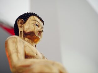 Thaye Dorje, His Holiness the 17th Gyalwa Karmapa, at the 2026 International Summer Course at the Europe Center, Germany. Photo: Tokpa Korlo.
