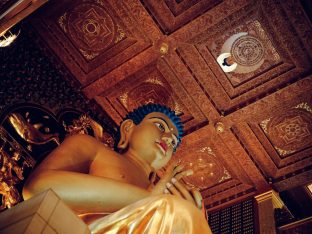 Thaye Dorje, His Holiness the 17th Gyalwa Karmapa, at the Karma Kagyu Monastery in Tainan, Taiwan, August 2026. Photo: Tokpa Korlo.