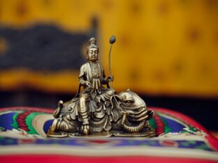 Thaye Dorje, His Holiness the 17th Gyalwa Karmapa, visited the Schwarzenberg Buddhist Centre, Germany. Photo: Tokpa Korlo.