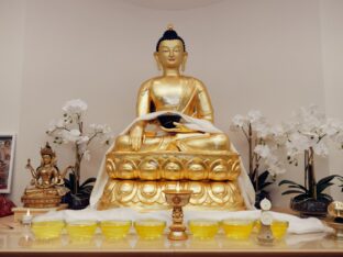 Thaye Dorje, His Holiness the 17th Gyalwa Karmapa, visited Dhagpo Möhra in Germany, August 2026. Photo: Tokpa Korlo.