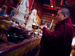 Thaye Dorje, His Holiness the 17th Gyalwa Karmapa, Sangyumla and Thugseyla at Dhagpo Kundreul Ling in Le Bost, France. Photo / Tokpa Korlo