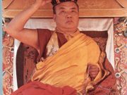 His Holiness the 16th Gyalwa Karmapa, Rangjung Rigpe Dorje