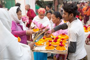 The Kagyu Monlam in Bodh Gaya was led by Thaye Dorje, His Holiness the 17th Gyalwa Karmapa, from 6–23 December 2017