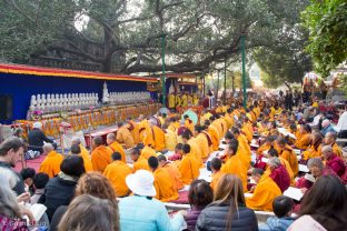 Thaye Dorje, His Holiness the 17th Gyalwa Karmapa, at the Kagyu Monlam in Bodh Gaya, 6–23 December 2017