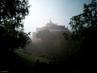 Thaye Dorje, His Holiness the 17th Gyalwa Karmapa, Sangyumla and Thugseyla at Dhagpo Kundreul Ling in Le Bost, France. Photo / Thule Jug