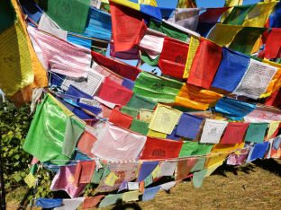 Thaye Dorje, His Holiness the 17th Gyalwa Karmapa, Sangyumla and Thugseyla at Dhagpo Kundreul Ling in Le Bost, France. Photo / Thule Jug