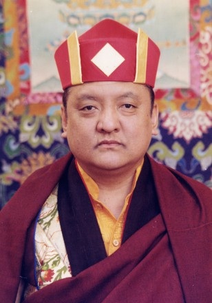 His Holiness the 14th Kunzig Shamar Rinpoche, Mipham Chokyi Lodro