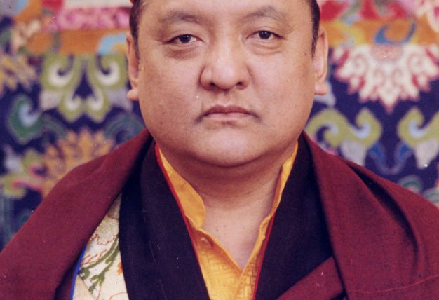 His Holiness the 14th Kunzig Shamar Rinpoche, Mipham Chokyi Lodro