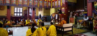 Long life prayer for Thaye Dorje, His Holiness the 17th Gyalwa Karmapa, and Professor Sempa Dorje, on Guru Rinpoche day at Karmapa International Buddhist Institute (KIBI), Delhi