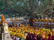 The Kagyu Monlam 2014 will be the major gathering of Kagyu practitioners in the year. Photo / Magda Jungowska