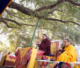 Thaye Dorje, His Holiness the 17th Gyalwa Karmapa, and His Eminence Jamgon Kongtrul Rinpoche under the Bodhi Tree